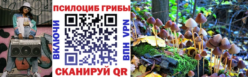 Псилоцибиновые грибы Psilocybe  Купить где  Городовиковск 